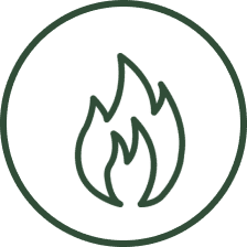 Fire icon inside a circle outline.