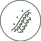Abstract line art within a circular frame.