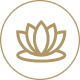 Gold lotus emblem on black background.