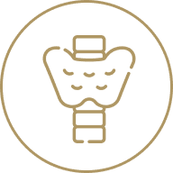 Dental implant icon in circular outline.